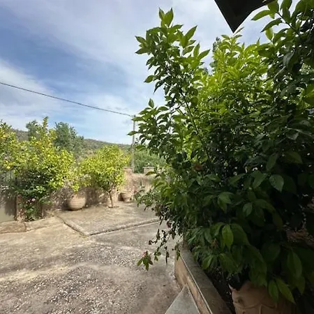 Apartment πυργοσπιτο χαντζακου
